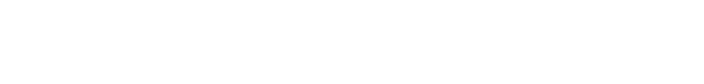 Globe-Traveller Logo